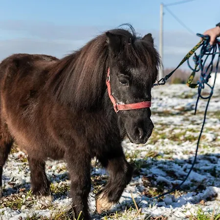 Apartmán Orzechowa Ostoja Energylandia *