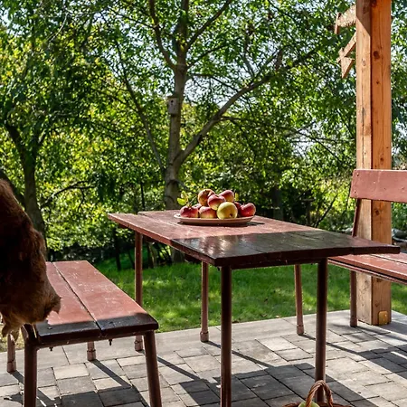 Orzechowa Ostoja Energylandia Bachowice
