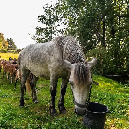 Apartmán Orzechowa Ostoja Energylandia